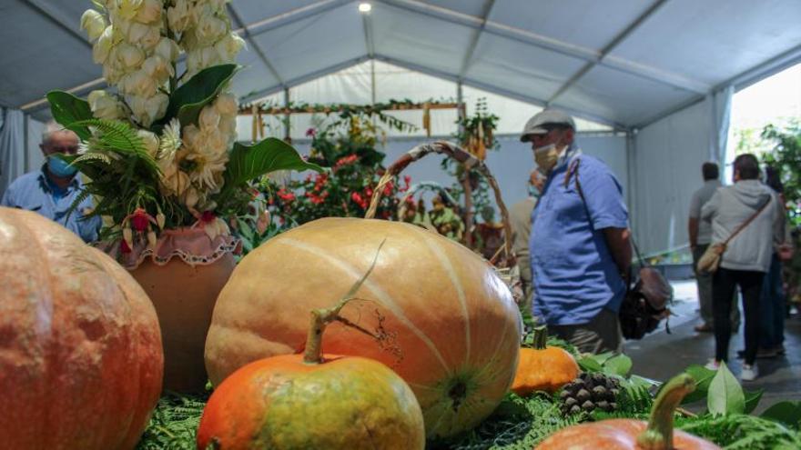 Sama de Langreo acoge el Certamen de la Huerta