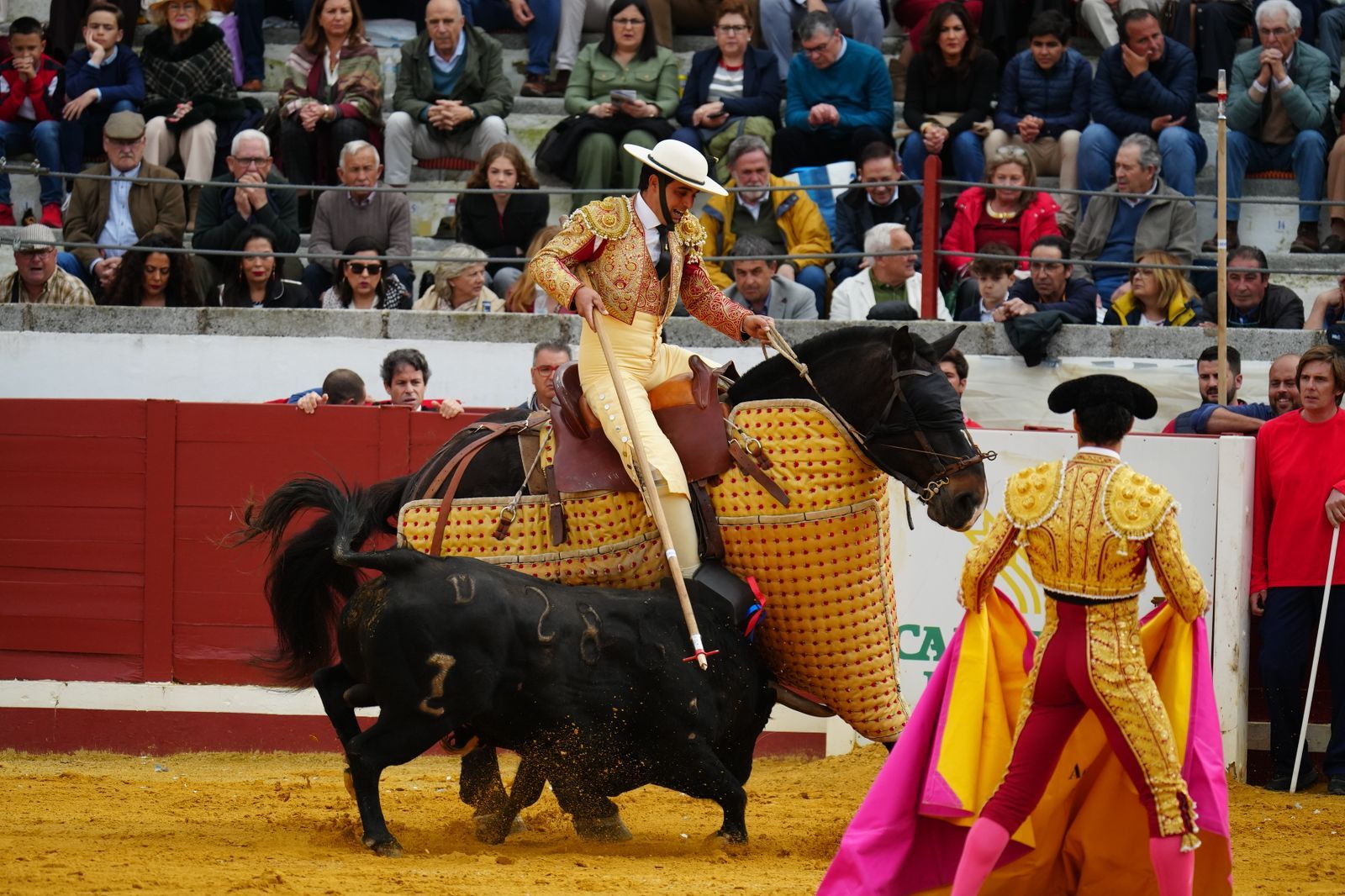 El festejo taurino de Pozoblanco, en imágenes