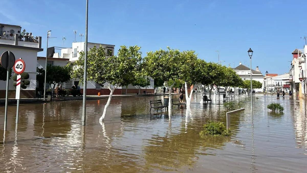 Vídeo | La rotura de una tubería provoca inundaciones y desalojos en Tocina-Los Rosales