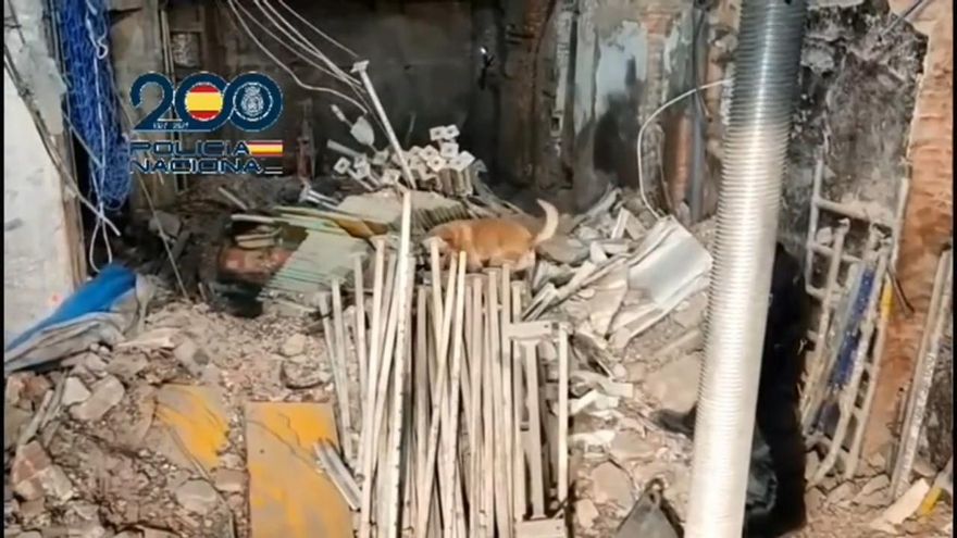 Imágenes de cuando uno de los perros de rescate localizan uno de los cuatro cadáveres