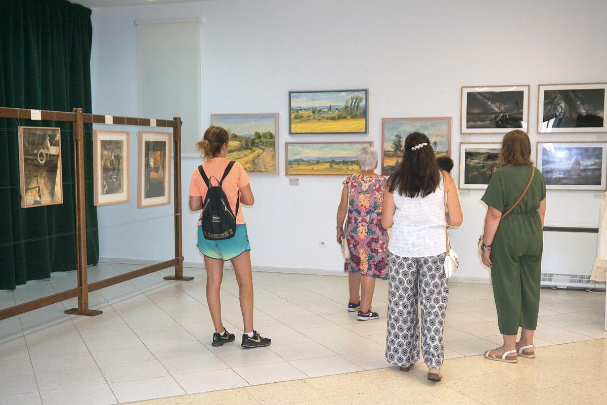 Alcañices disfruta de la muestra de Arte Aliste