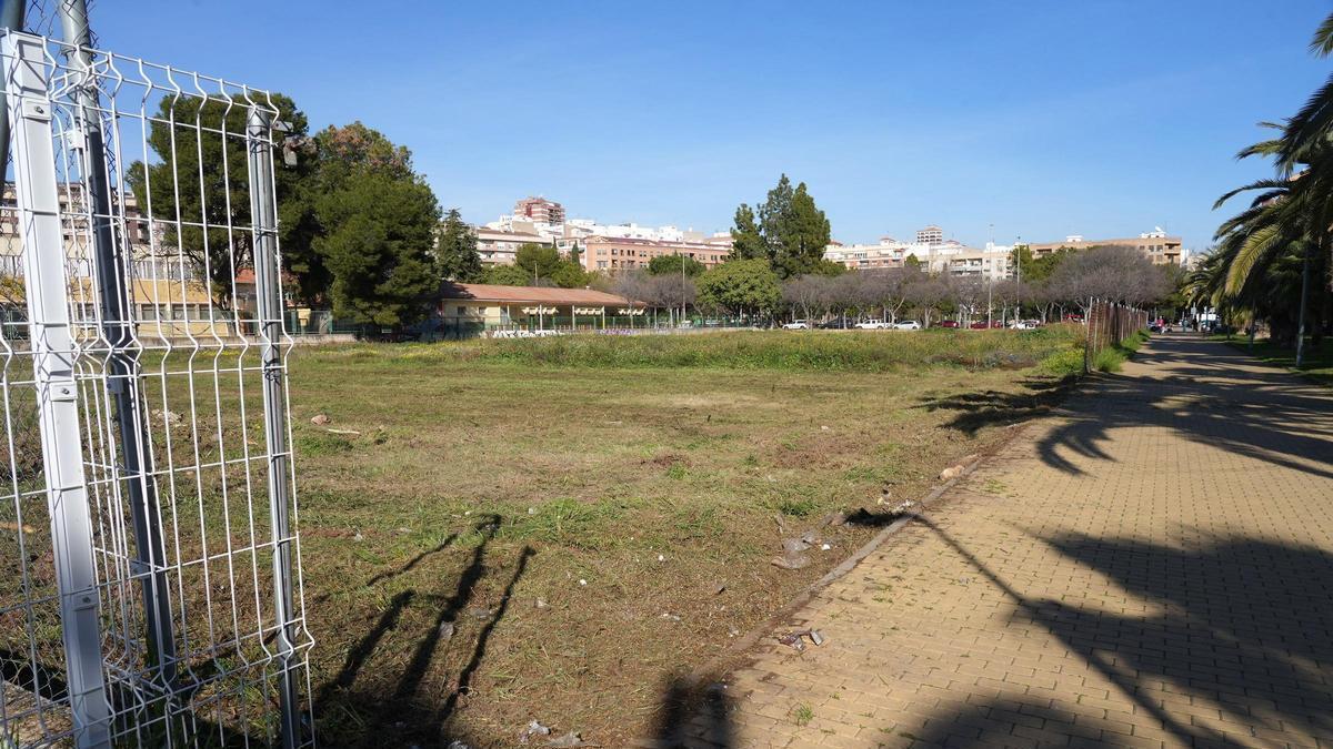 POLÉMICA PIPICAN SENSAL | Casi 300 firmas de padres y profesores de los CEIP Censal y Carles Salvador dicen ‘no’ al pipican de Sensal en Castelló