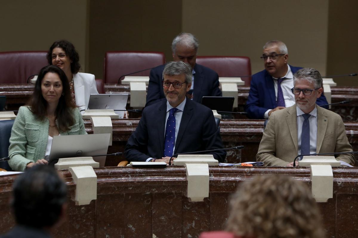 Luis Alberto Marín, este viernes durante su comparecencia en la Asamblea Regional.