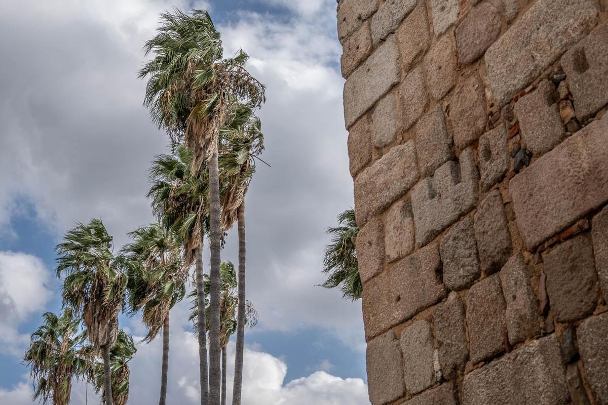 La capital extremña en alerta por fuertes vientos.