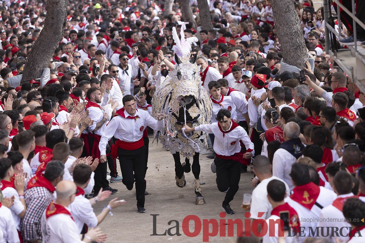 Así se ha vivido la carrera de Los Caballos del Vino en Caravaca