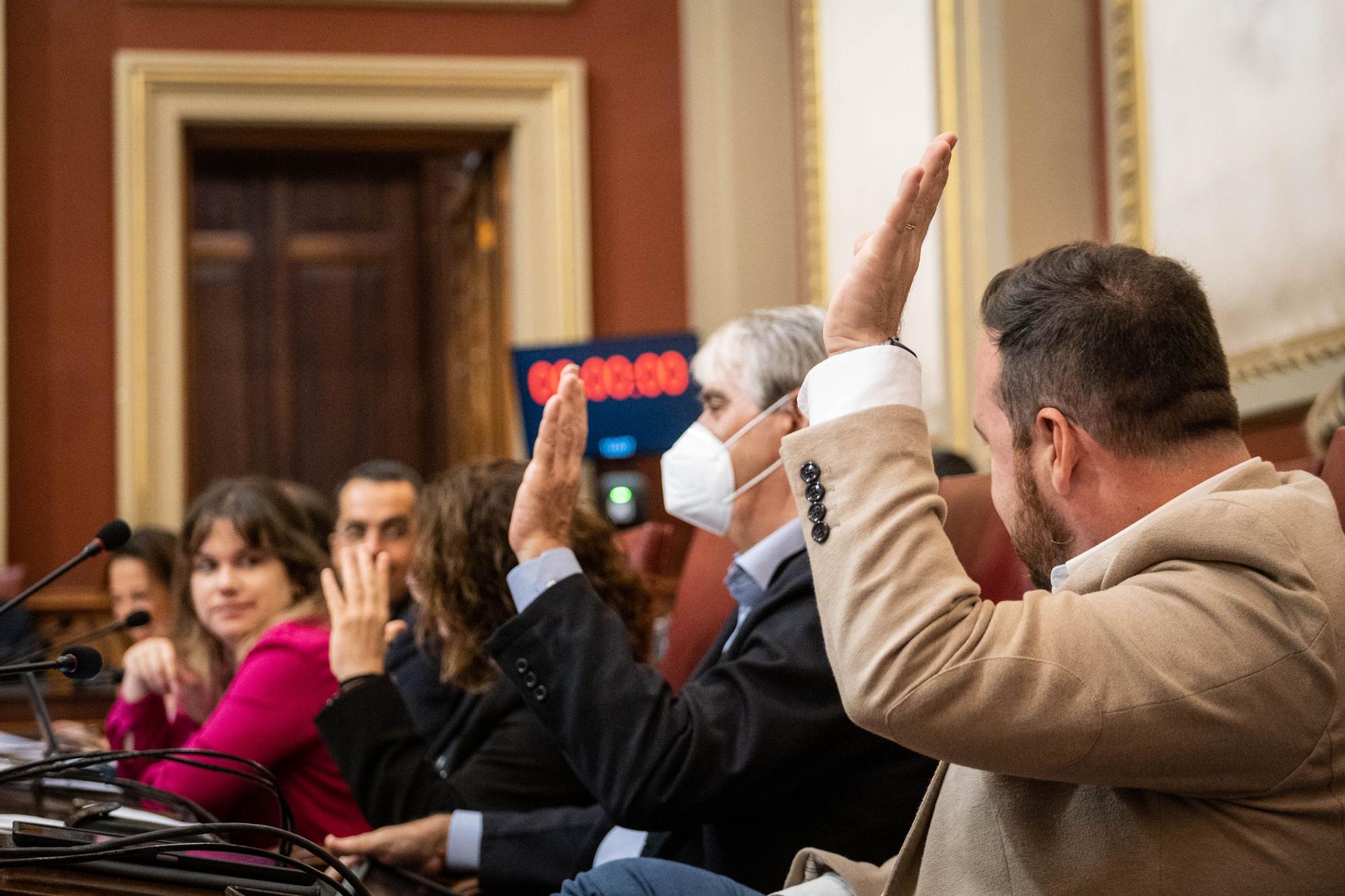 Pleno del Ayuntamiento de Santa Cruz