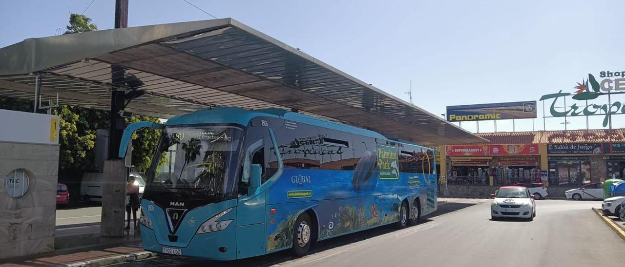 Imagen de archivo de una guagua de Global estacionada en la parada ubicada junto al centro comercial Tropical de Playa del Inglés.