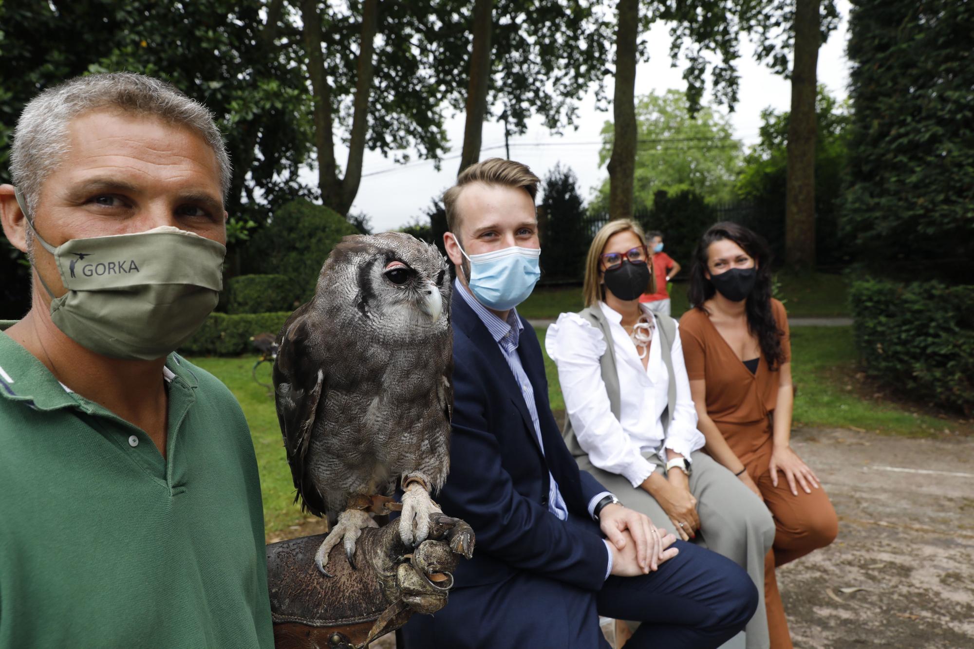 Los vuelos nocturnos de los búhos vuelven al Botánico de Gijón