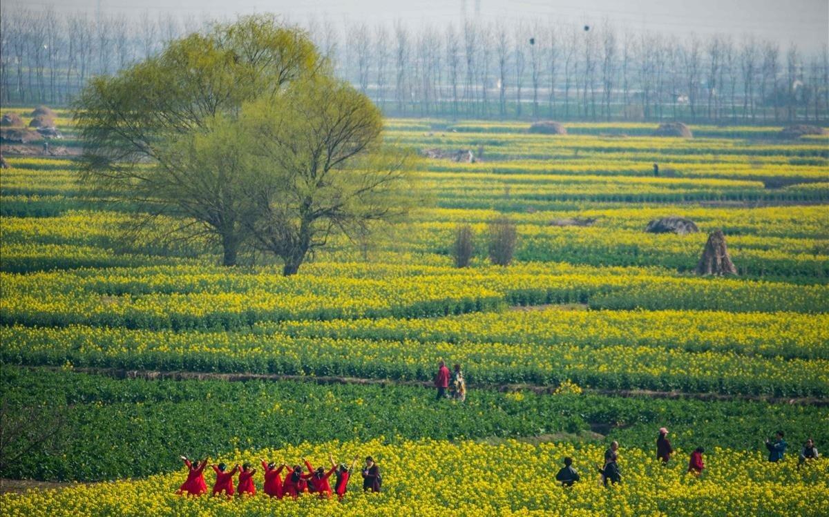 Turistas visitando los campos de colza de Qianduo en Xinghua, China.