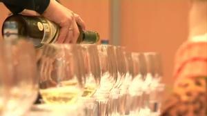 Vídeo de la cinquena edició del Catavins que se celebra a Sabadell entre el 9 i l’11 de novembre.