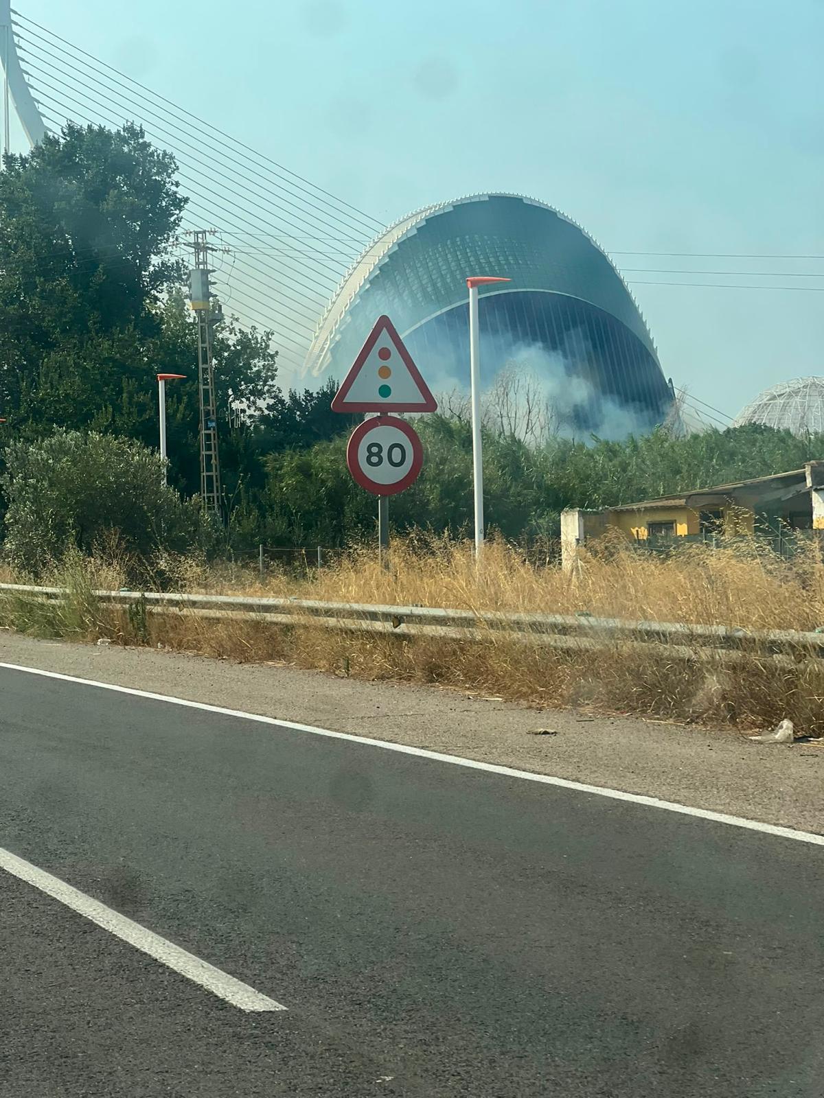 Un aparatoso incendio junto al Oceanogràfic y la autovía del Saler obliga a cortar el tráfico de entrada y salida a la ciudad