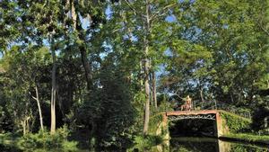 Badalona tanca el parc de Can Solei i Ca l’Arnús pels forts vents registrats