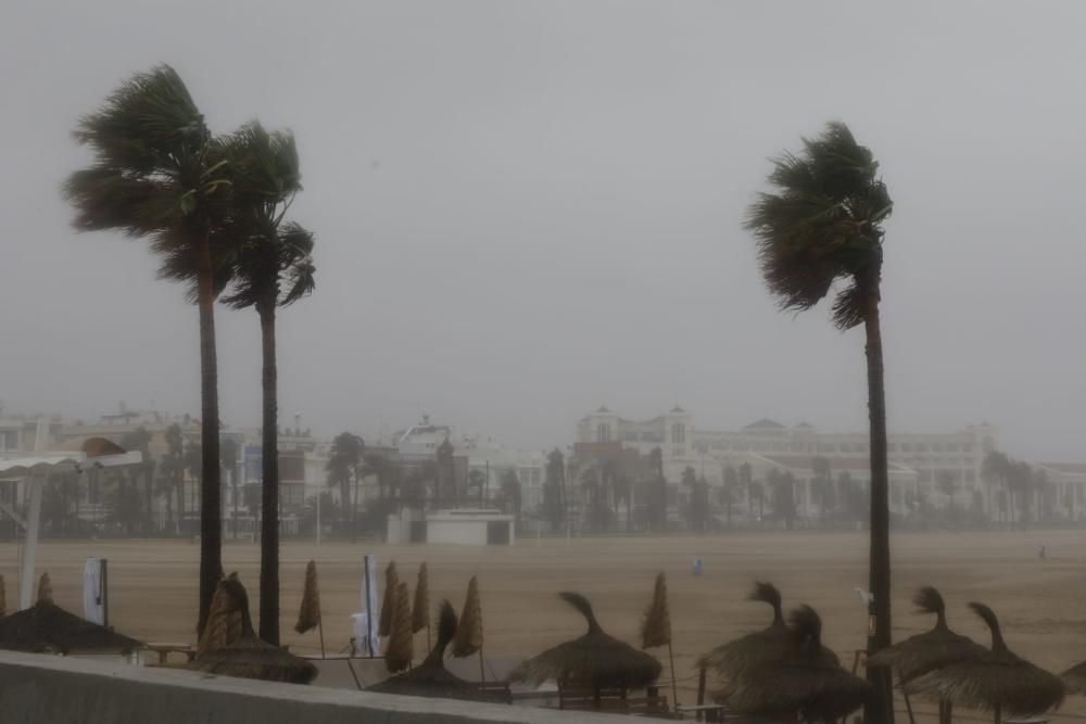 Playa de las Arenas y Marina de València