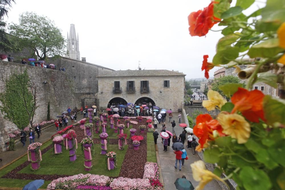 La pluja no desanima l'afluència de públic a «Temps de Flors»