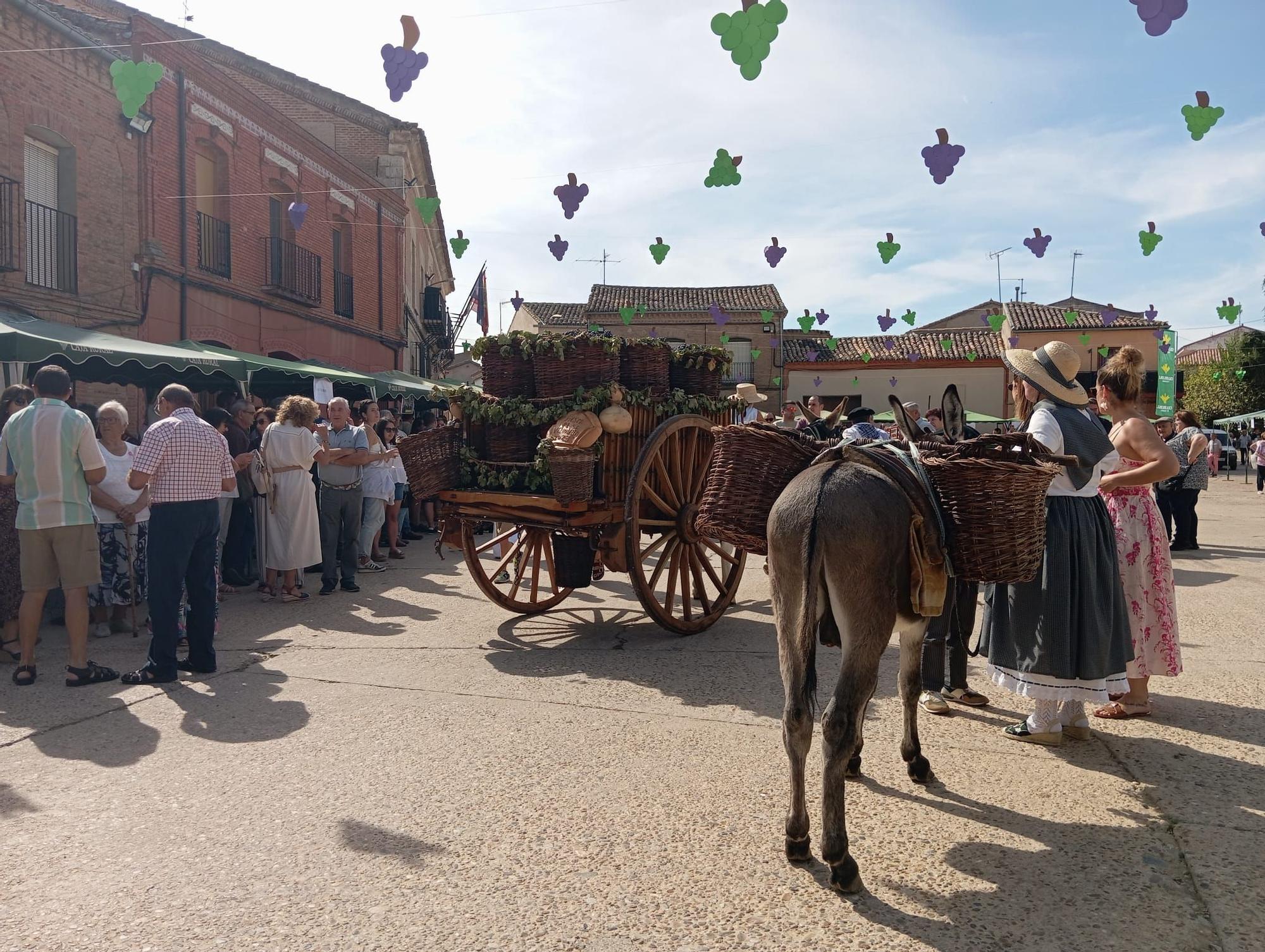 GALERÍA | Revive la Fiesta de la Vendimia de Morales de Toro