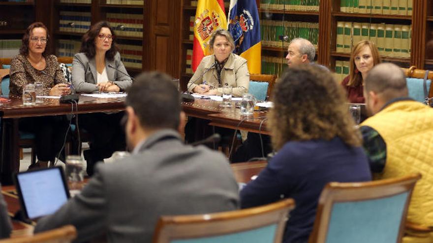 La consejera de Agricultura, Alicia Vanoostende, atiende a una pregunta formulada desde las filas de CC.