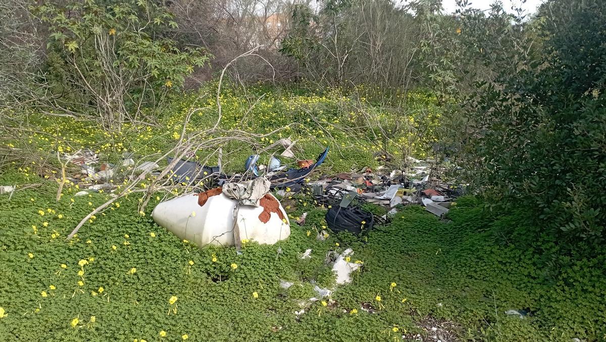 Basura en La Laguna de Los Prados, el 10 de febrero.