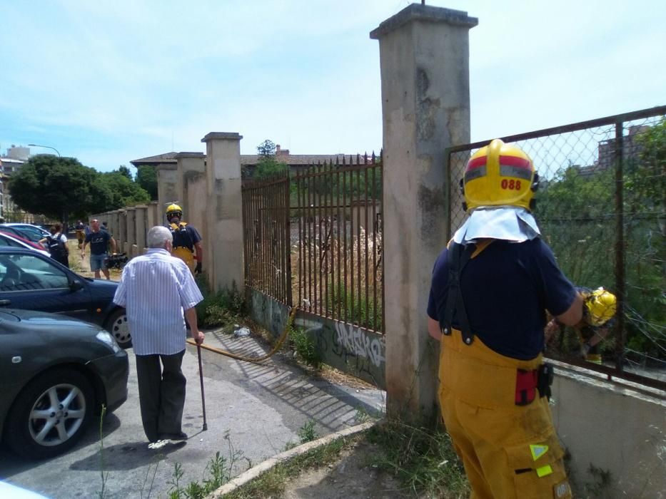 Declarado un incendio de rastrojos en el antiguo canódromo de Palma