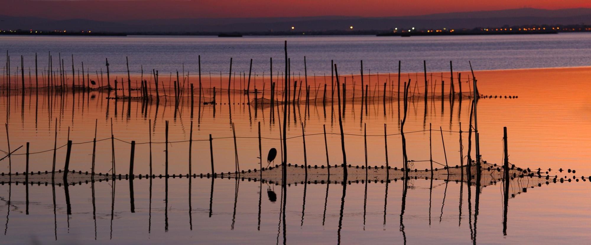 Las mejores imágenes de l'Albufera en el Día Mundial de los Humedales