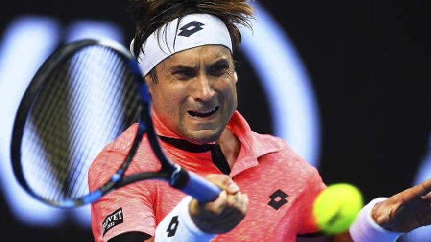 David Ferrer