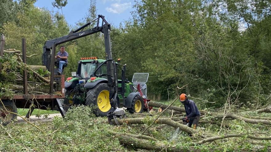 L’estany de Banyoles recupera 5.000 m2 d’espai transitable