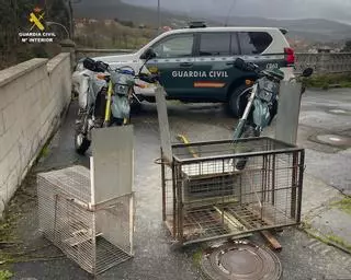 Intervenidas dos jaulas-trampa ilegales para la captura de animales en Rois