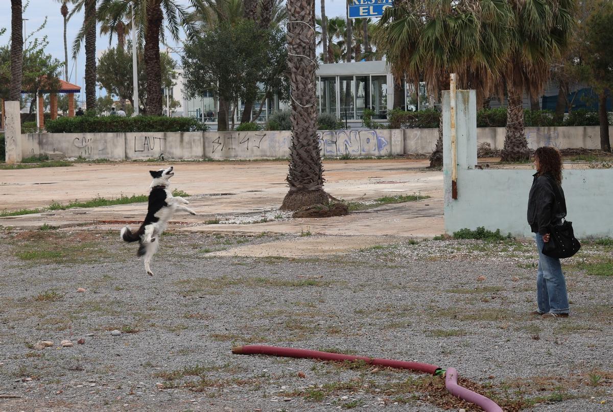 Parcela próxima a la playa de Canet d'en Berenguer.
