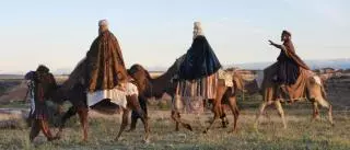 Los Reyes llegarán a Moaña en camellos de verdad