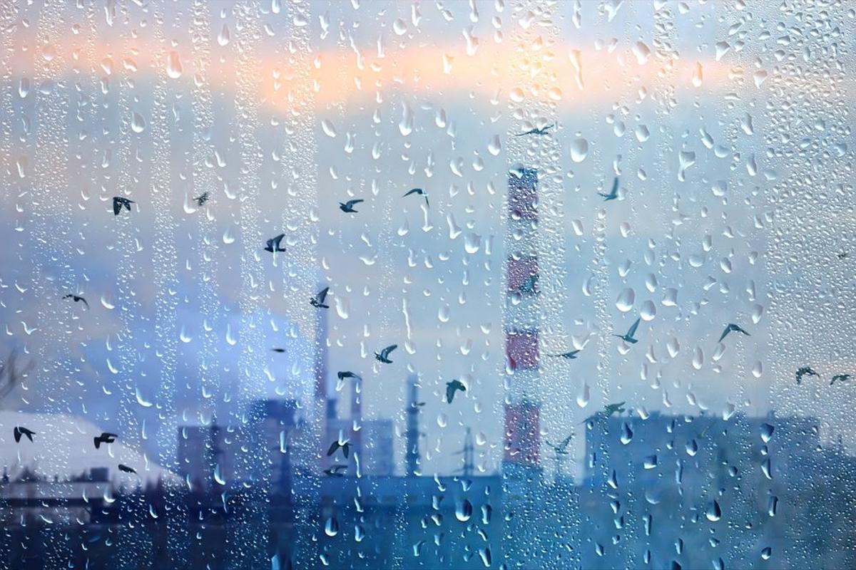 L’aigua de pluja ja no és potable a cap lloc del planeta