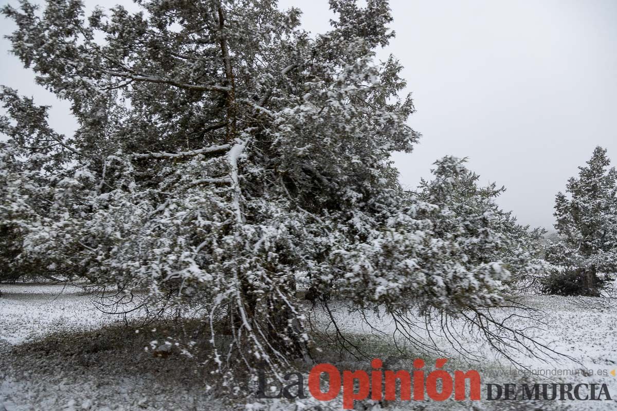 Nieve en el Noroeste