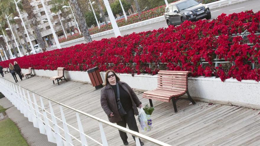 Las plantas de Navidad se colocarán solo en los extremos.