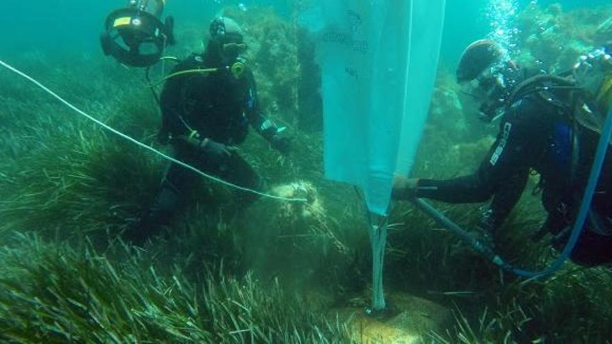 Enxampen una embarcació  fondejada en espais protegits de la Costa Brava cada dos dies