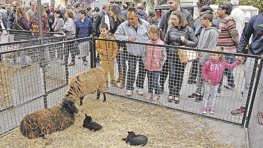 El vino y el baile de los gigantes, protagonistas de la feria de Santa Maria