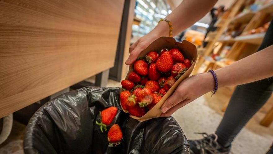 El desperdicio de alimentos en España cuesta cada año 250 millones de euros