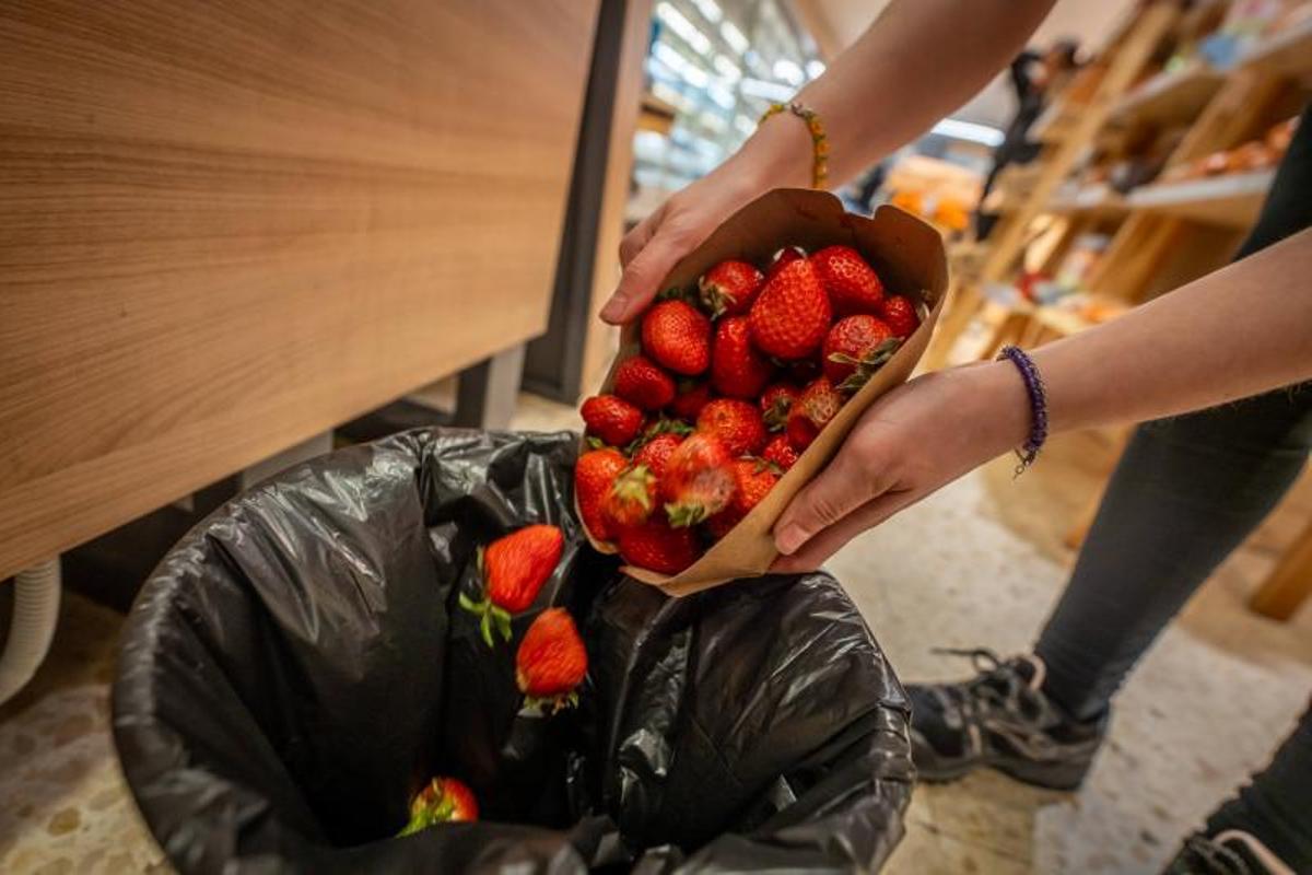 Una comerciante tira a la basura unas fresas estropeadas en su establecimiento.