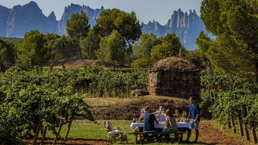 El Pla de Bages, un indret per assaborir el patrimoni vinícola