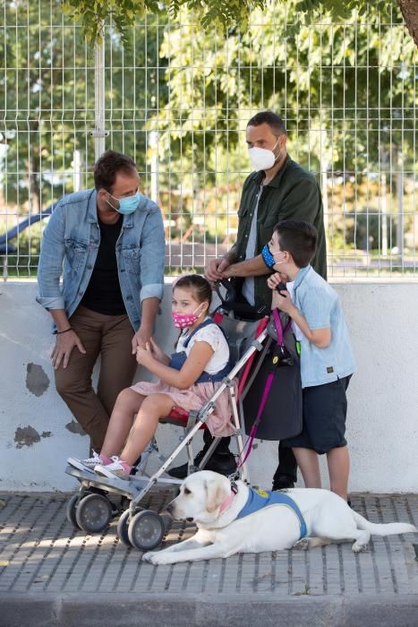 Proyecto Juntos financia, a través de una donación, la compra de una perra de asistencia para una niña con parálisis cerebral