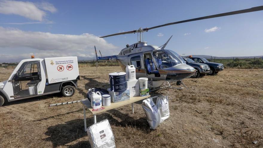 Die Pestizide werden per Hubschrauber im Hinterland der Playa de Palma versprüht.