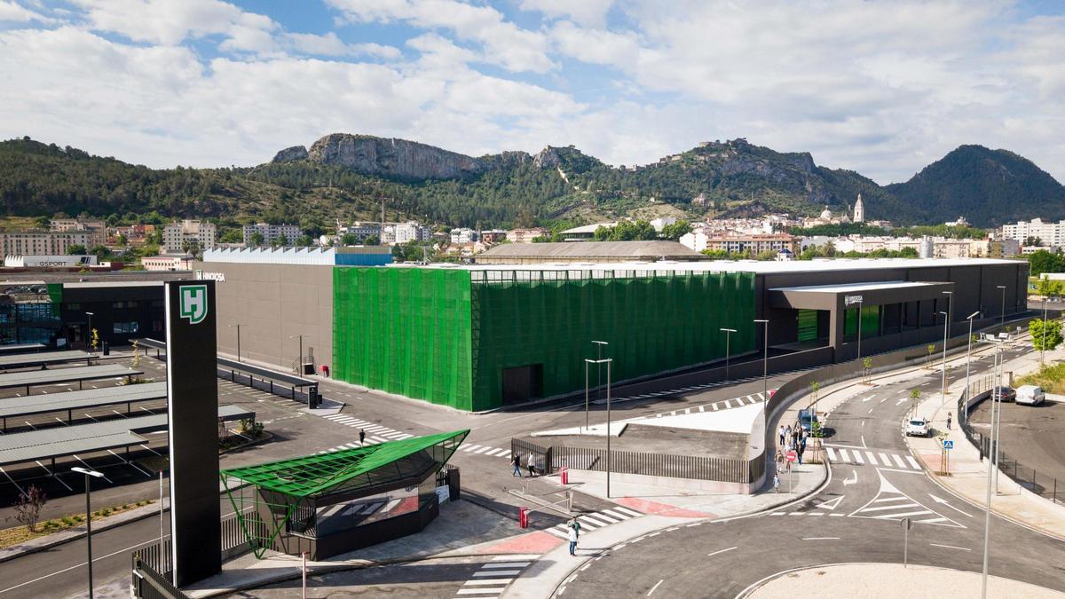 Planta de Hinojosa en Xàtiva
