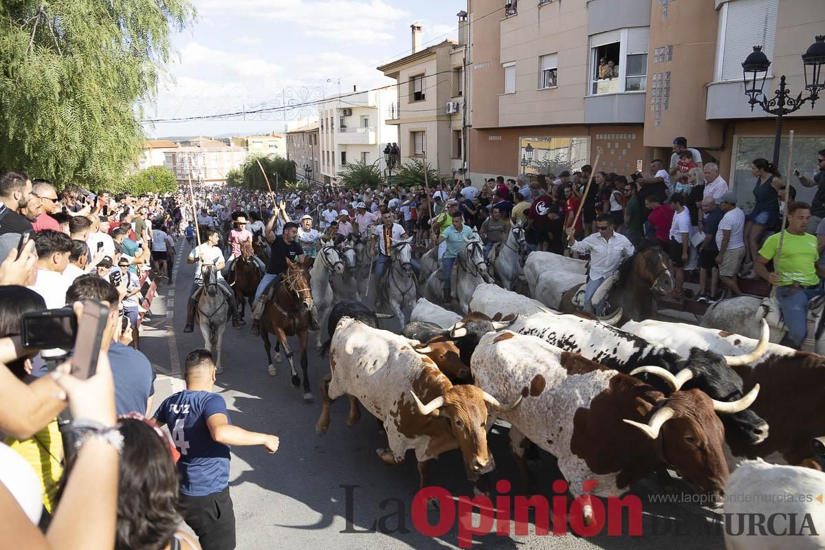 El segundo encierro de las Fiestas de Moratalla se salda con un herido