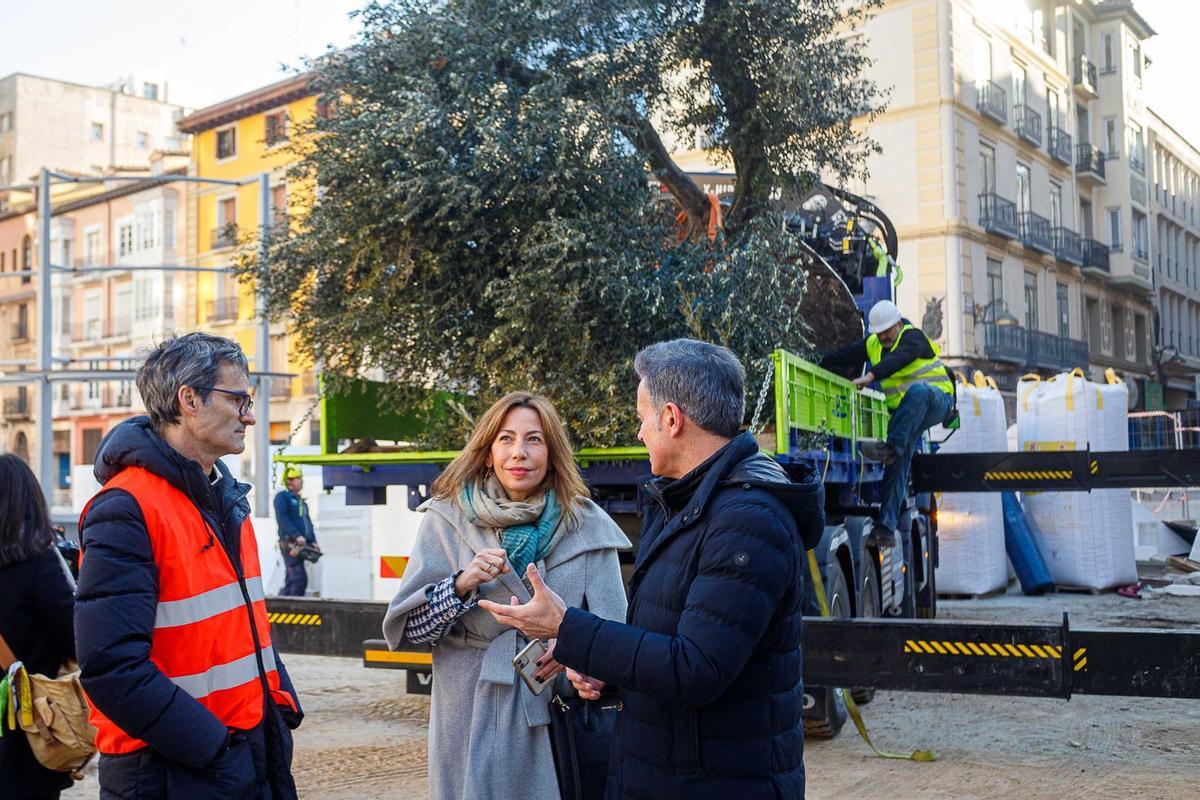 Chueca y Serrano durante la replantación, por la mañana.