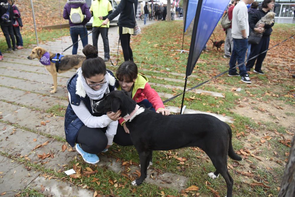 Caminada solidària de Regió7 a Solsona