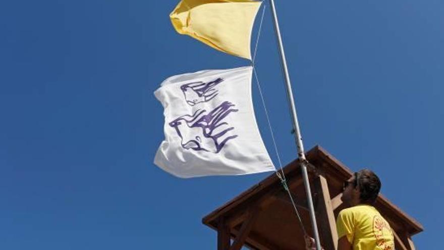 Bandera groga i bandera d&#039;alerta per meduses a la platja de Pals aquesta temporada d&#039;estiu.