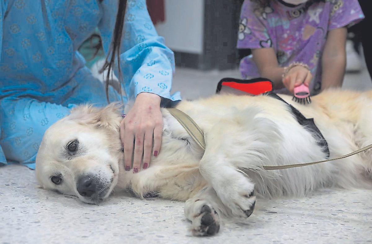 Dos pacientes del Hospital Clínico Universitario de Santiago de Compostela (CHUS), con un perro.