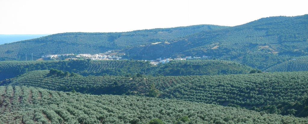 Vistas de Fuencaliente