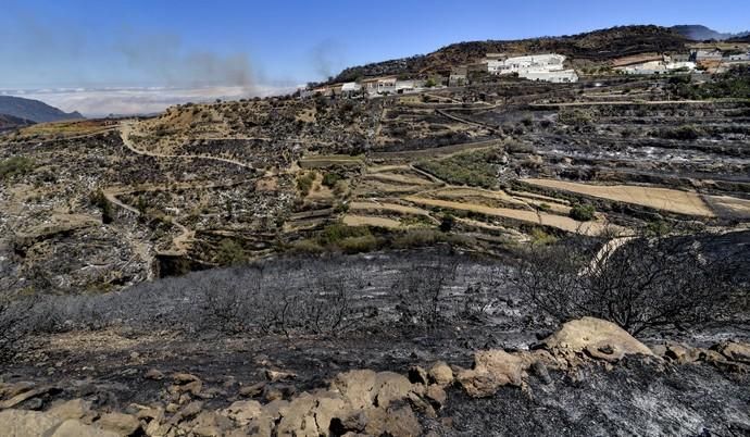 ARTENARA. Incendio en la Cumbre. Vistas de Artenara tras el incendio. El Fuego llegó hasta las casas del Pueblo.  | 11/08/2019 | Fotógrafo: José Pérez Curbelo