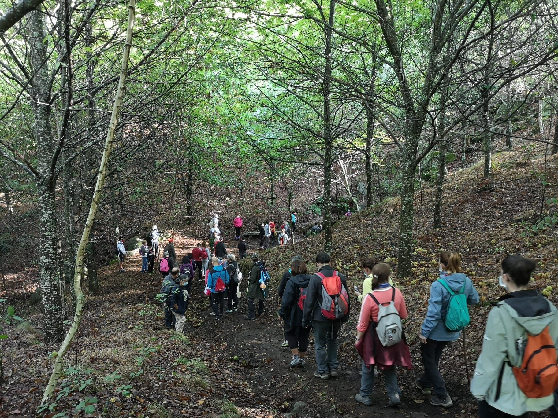 Participantes en una de las rutas de senderismo guiadas y gratis organizadas por el Concello de Vigo.