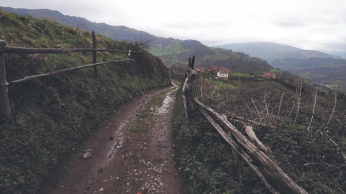 La caja de la fallida carretera Cenera-Riosa.