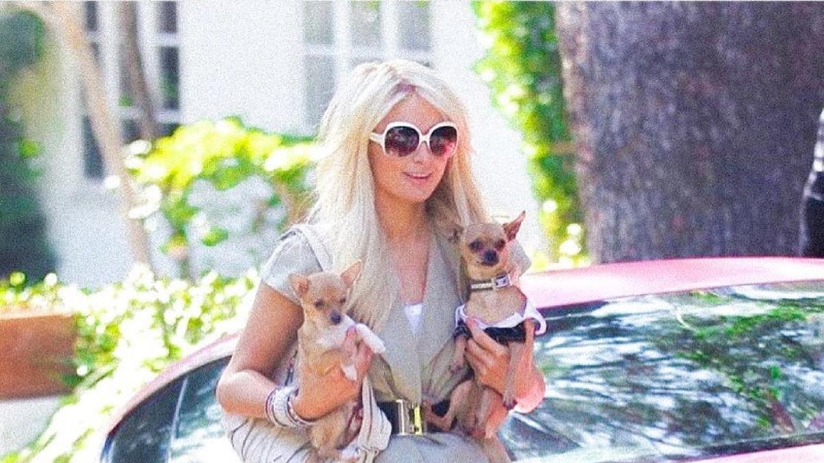 Paris Hilton con dos de sus perros