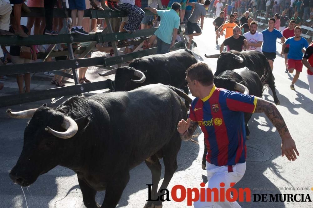 Primer encierro de Calasparra